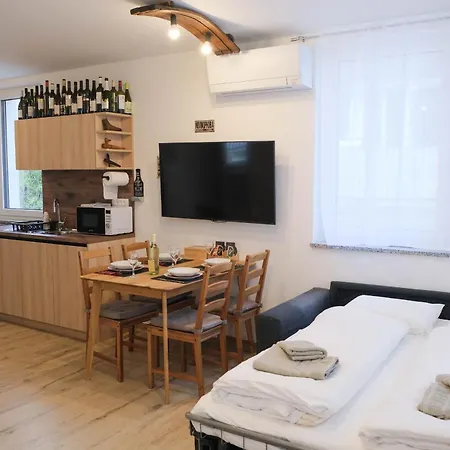 Beer & Wine House 公寓 卢布尔雅那