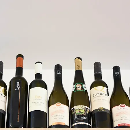 Beer & Wine House Διαμέρισμα Λιουμπλιάνα