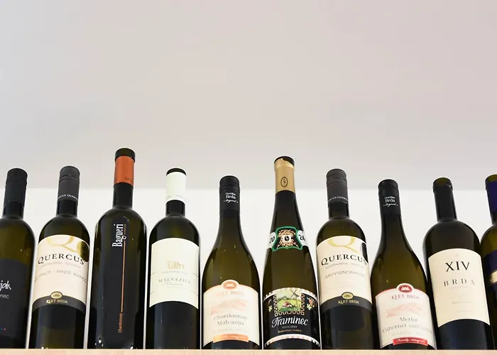 Beer & Wine House Apartmán Lublaň